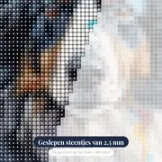 Majestueuze Berner Sennenhond Diamond Painting – close-up van de steentjes