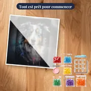 Bouvier Bernois Majestueux – kit prêt à commencer