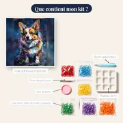 Collie, Douceur et Élégance – contenu du kit
