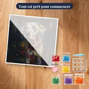 Dalmatien aux Taches Multicolores – kit prêt à commencer
