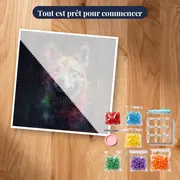Berger Allemand, Regard Attentif – kit prêt à commencer