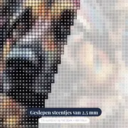 Duitse Herder in de Wind Diamond Painting – close-up van de steentjes