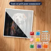 Setter Anglais, Silhouette Élancée – kit prêt à commencer