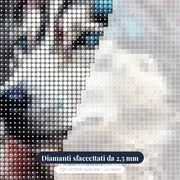 Husky Siberiano dagli Occhi di Ghiaccio Diamond Painting – primo piano dei diamanti