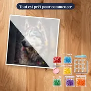 Husky Sibérien aux Yeux de Glace – kit prêt à commencer