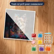 Chihuahua à Poil Long – kit prêt à commencer
