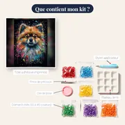 Spitz Nain, Boule de Poils – contenu du kit