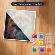 Pomeranian Fluffball Diamond Painting – kit ready to start