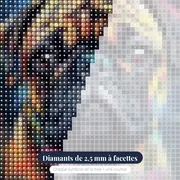 Carlin, Portrait Amusant – gros plan des diamants