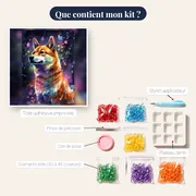 Corgi, Compagnon Joyeux – contenu du kit