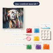 Setter Anglais Éclaboussures de Couleur – contenu du kit