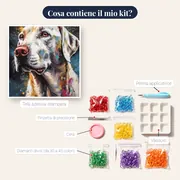 Setter Inglese Schizzi di Colore Diamond Painting – contenuto del kit