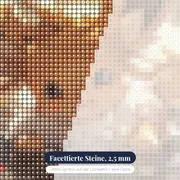 Diamond Painting Pokémon Evoli Blätterspiel – Nahaufnahme der Steine