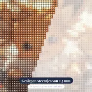 Diamond Painting Pokémon Eevee Herfstbladeren – close-up van de steentjes