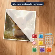 Diamond Painting Pokémon Eevee Bosrust – pakket klaar om te beginnen