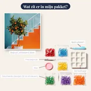 Oranjeboom in pot op blauw terras Diamond Painting – inhoud van het pakket