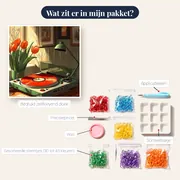 Retro platenspeler en rode tulpen diamond painting – inhoud van het pakket
