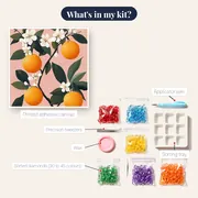 Orange Blossom Branch on Pink Background Diamond Painting – kit contents