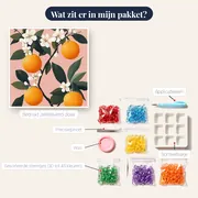Oranjebloesemtak op roze achtergrond Diamond Painting – inhoud van het pakket