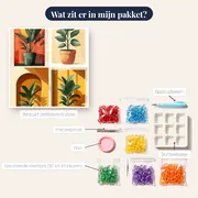 Collage van vier groene kamerplanten in potten Diamond Painting – inhoud van het pakket