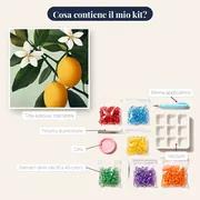 Ramo di limone con frutti gialli Diamond Painting – contenuto del kit