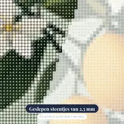 Citroentak met gele vruchten Diamantschilderij – close-up van de steentjes