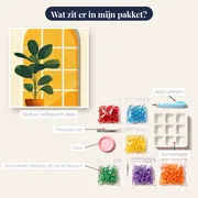 Minimalistische groene plant voor het raam Diamond Painting – inhoud van het pakket