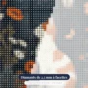 Chat blanc et roux observant la nuit à la fenêtre – gros plan des diamants