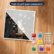 Chat blanc et roux observant la nuit à la fenêtre – kit prêt à commencer