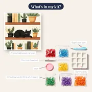 Sleeping Black Cat on a Bookshelf with Cacti Diamond Painting – kit contents