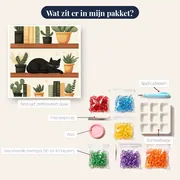 Zwarte slapende kat op boekenplank met cactussen diamond painting – inhoud van het pakket