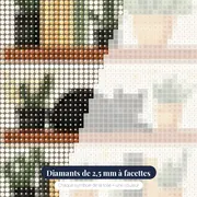 Chat noir endormi sur une étagère de livres et cactus – gros plan des diamants