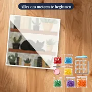 Zwarte slapende kat op boekenplank met cactussen diamond painting – pakket klaar om te beginnen