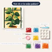 Groene kamerplant voor de boogvormige ruit - Diamond Painting – inhoud van het pakket