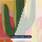 Kaktus und Sonne in der mexikanischen Wüste Diamond Painting – Nahaufnahme der Steine