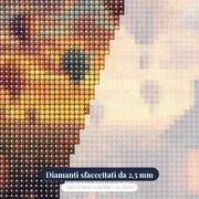 Volo di mongolfiere sopra i tetti di un vecchio villaggio Diamond Painting – primo piano dei diamanti