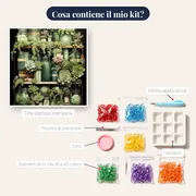 Scaffale di succulente &amp; barattoli botanici – contenuto del kit