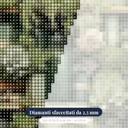 Scaffale di succulente &amp; barattoli botanici – primo piano dei diamanti
