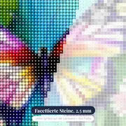 Aquarell-Schmetterlinge im Licht – Nahaufnahme der Steine