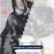 Bouledogue Français Aquarelle – gros plan des diamants