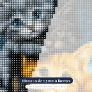 Trois Chatons Étoilés – gros plan des diamants