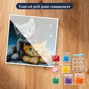 Trois Chatons Étoilés – kit prêt à commencer