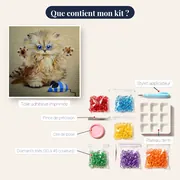 Chaton Joueur aux Yeux Bleus – contenu du kit