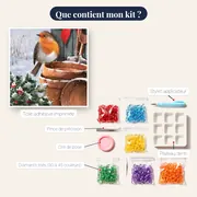 Rouge-gorge en Hiver : Douceur de Noël – contenu du kit