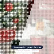 Robin des Neiges et Bottes de Noël – gros plan des diamants