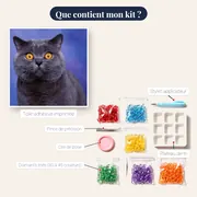 British Shorthair aux Yeux d'Ambre – contenu du kit