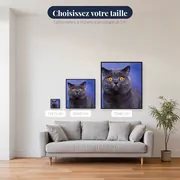 British Shorthair aux Yeux d'Ambre – tailles disponibles