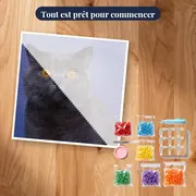 British Shorthair aux Yeux d'Ambre – kit prêt à commencer