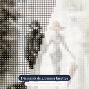Promenade Impressionniste sous la Pluie – gros plan des diamants