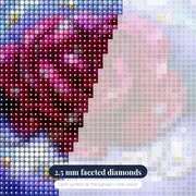 Glossy Purple and Flamboyant Rose Lips – diamond close-up